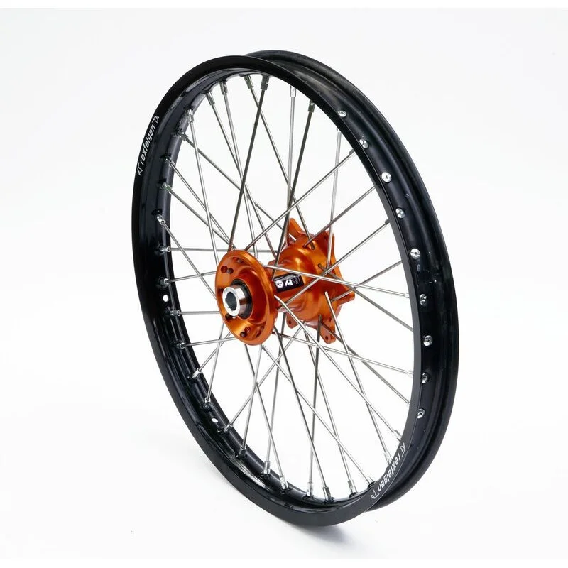 dr-rider-120260925020857290797