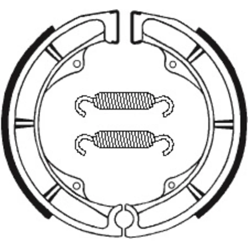 dr-rider-120260925031234306362