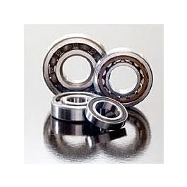 ksmotorcycles-320260925221552502448